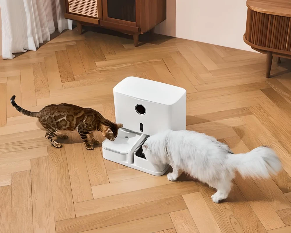 automatic pet feeder and water
